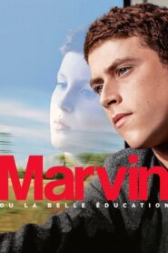 Marvin ou la belle éducation
