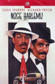 Noce Harlemu