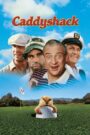Golfiarze