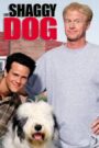 The Shaggy Dog
