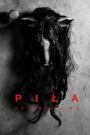 Piła: Dziedzictwo
