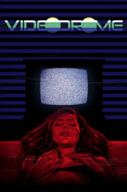 Wideodrom