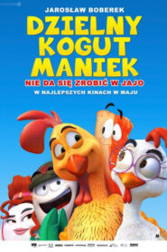 Dzielny kogut Maniek
