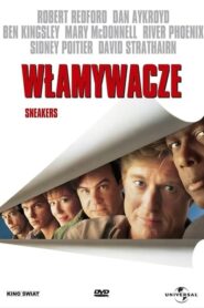 Włamywacze