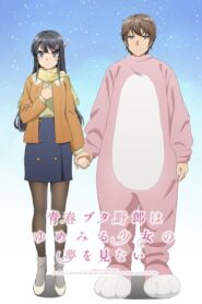 青春ブタ野郎はゆめみる少女の夢を見ない