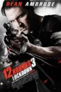 12 rund 3