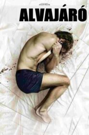 In My Sleep
