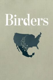 Birders