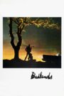 Badlands
