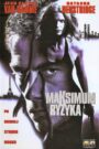 Maksimum Ryzyka