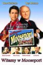 Witamy w Mooseport