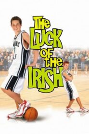 Irlandzkie szczęście