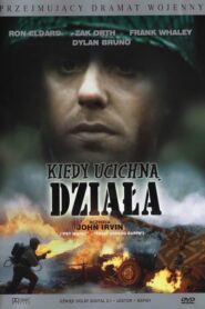 Kiedy ucichną działa