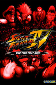 ストリートファイターIV 新たなる絆