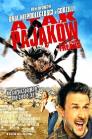 Atak pająków
