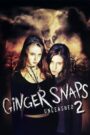 Zdjęcia Ginger II