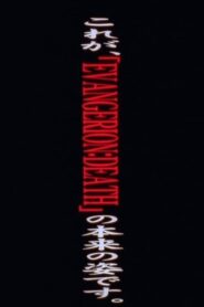 Evangelion: Death (True)²