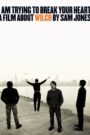 I Am Trying to Break Your Heart: A Film About Wilco